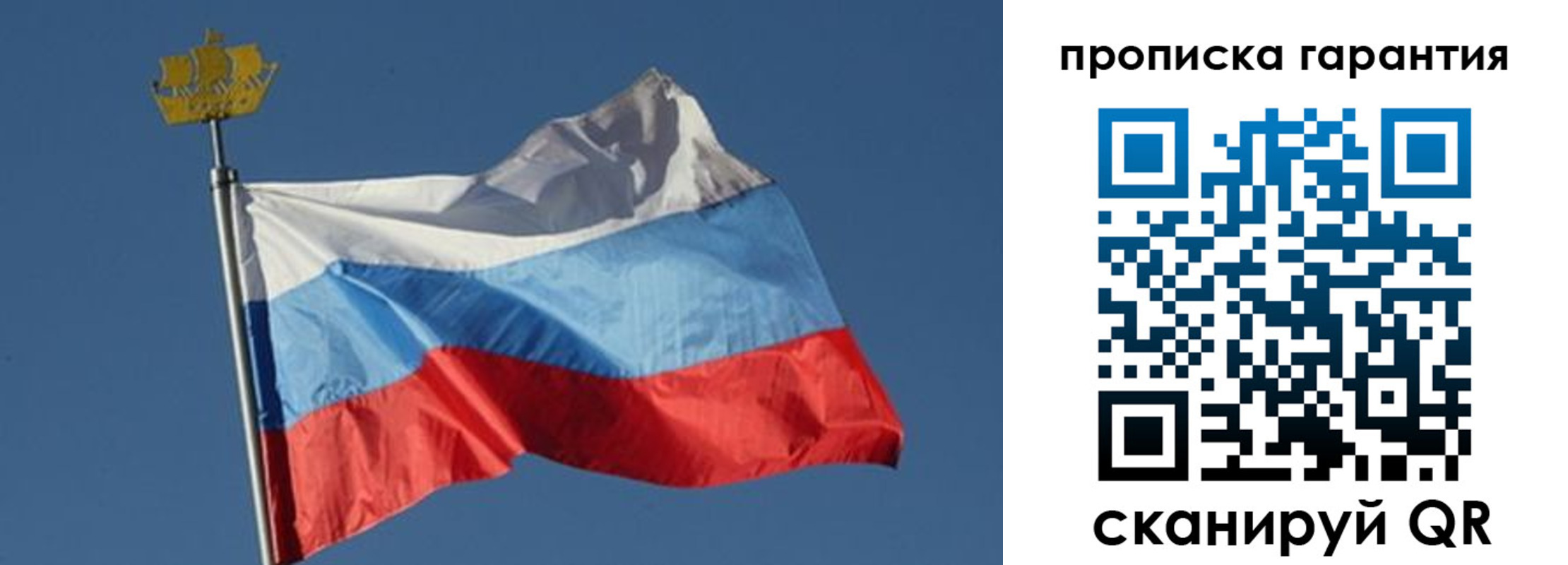 прописка для работы в Александрове